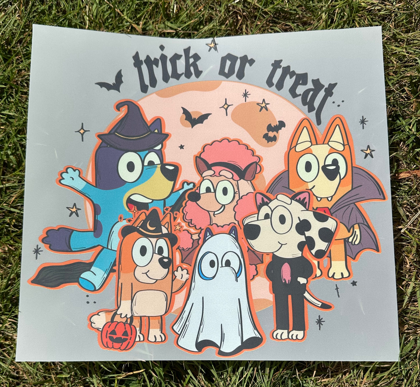 Heeler Costume trick or treat DTF