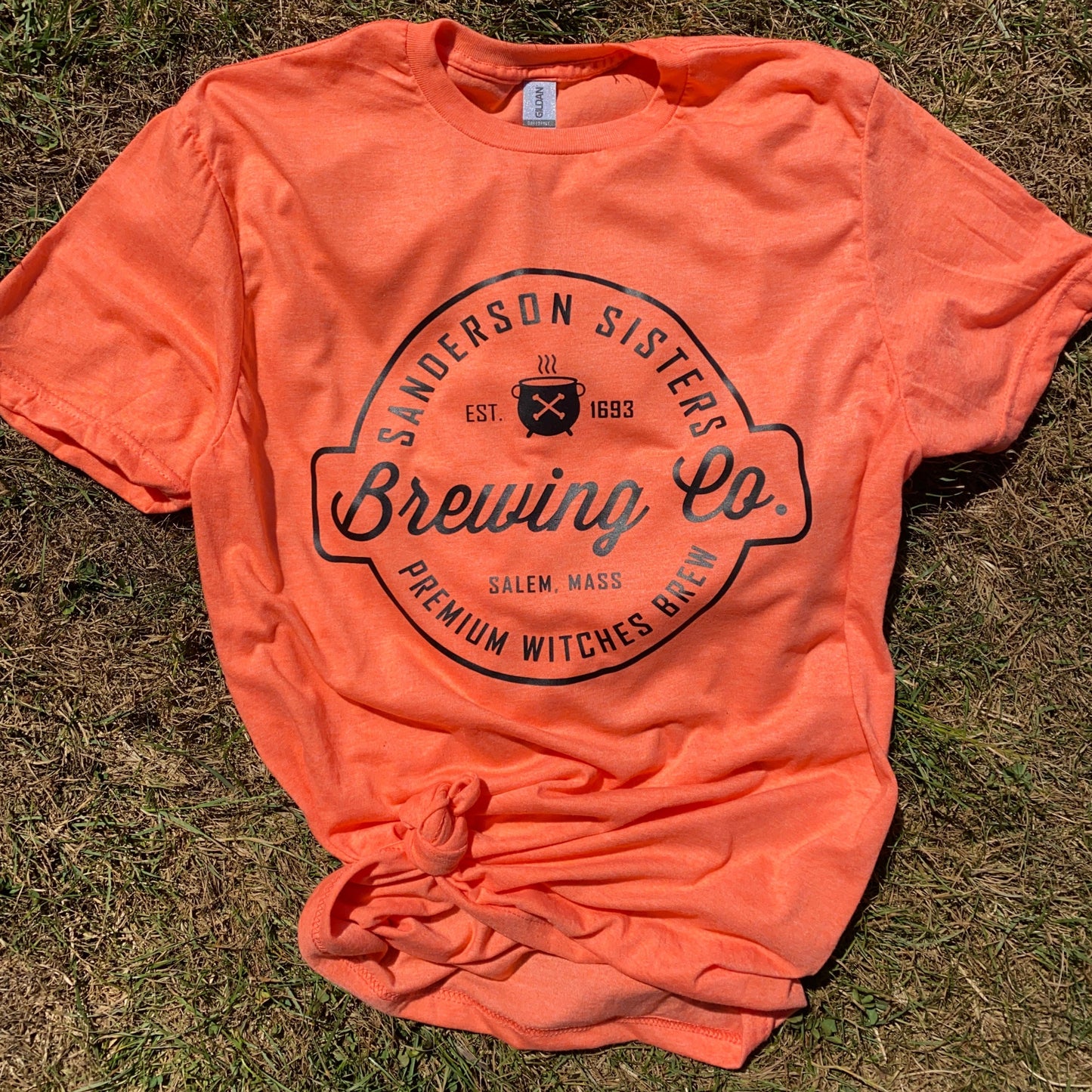 3 Sisters Halloween T-shirt