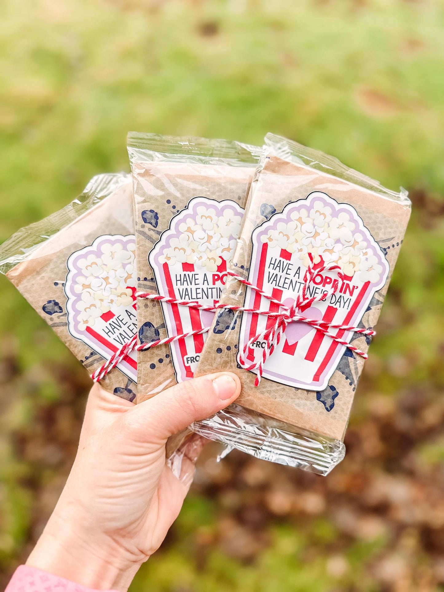 Valentine's Day Popcorn Sticker